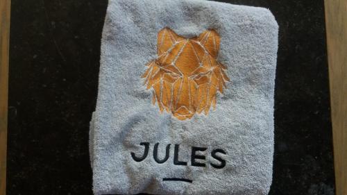 jules2